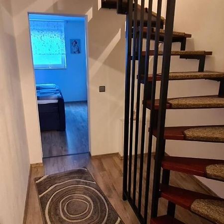 Zentrale Messe/Ferien Whg Mit Garten & Parkplatz Ράτινγκεν Εξωτερικό φωτογραφία